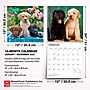 2027 BrownTrout Labrador Retriever Puppies 12" x 12" Monthly Wall Calendar (9798330712519)~#|#~9A1C927B-E934-4D02-89EA1D5B8F554E5B_sc7