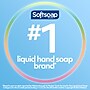 Softsoap Fresh Series Liquid Hand Soap Refill, Fresh Scent, 1 Gallon (61036482)~#|#~9A3E6FA1-D6F6-4121-B65B27CA227CE10D_sc7