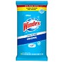 Windex Window and Glass Wipes, Original, 38 Wipes/Pack (319251)~#|#~9A6219CD-BFA8-45A8-9BF3AAA6B8A539AE_sc7