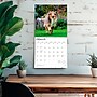 2026 BrownTrout Collies 12" x 12" Monthly Wall Calendar (9798330702985)~#|#~9A640C16-AFB1-4095-9CA2EA3534952EED_sc7