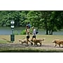 Furloo Steel Outdoor Pet Waste Station Kit with Roll Bag Dispenser, 11.5 Gallon, Green (FLO1R-S-G)~#|#~9A66A70B-2143-41D5-931FF831A0B23833_sc7