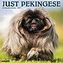 2027 Willow Creek Pekingese 11" x 12" Monthly Wall Calendar, Assorted Colors (61763)~#|#~9A6D9703-A1BD-4E8F-AD17E8328DFBF793_sc7