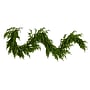 Nearly Natural Pre-Lit Artificial Real touch Norfolk Island Pine Garland, 6' (W1393)~#|#~9A72795E-4F3A-4C29-8EB374FD4CB6C64B_sc7