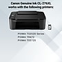 Canon CL-276XL Color High Yield Ink Cartridge (4987C001)~#|#~9A91E7D2-E0B9-4440-BD09BA1FE6171A95_sc7