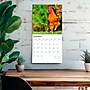2026 BrownTrout Roosters 12" x 12" Monthly Wall Calendar (9798330705375)~#|#~9A948F77-4F5A-4EFB-B7D199E38779C3AC_sc7