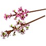 LEGO Botanicals Cherry Blossoms, 430 Pieces (40725)~#|#~9A9ABAED-952C-4EEB-AC3FF319F5E13BF8_sc7