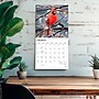 2027 BrownTrout Songbirds 12" x 12" Monthly Wall Calendar (9798330712113)~#|#~9AA60681-1167-43FF-BD6350B7E2717CCA_sc7