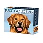 2026 Willow Creek Goldens 6.2" x 5.4" Day-to-Day Calendar (54192)~#|#~9AC4B680-1413-4556-AD68741446BFB023_sc7