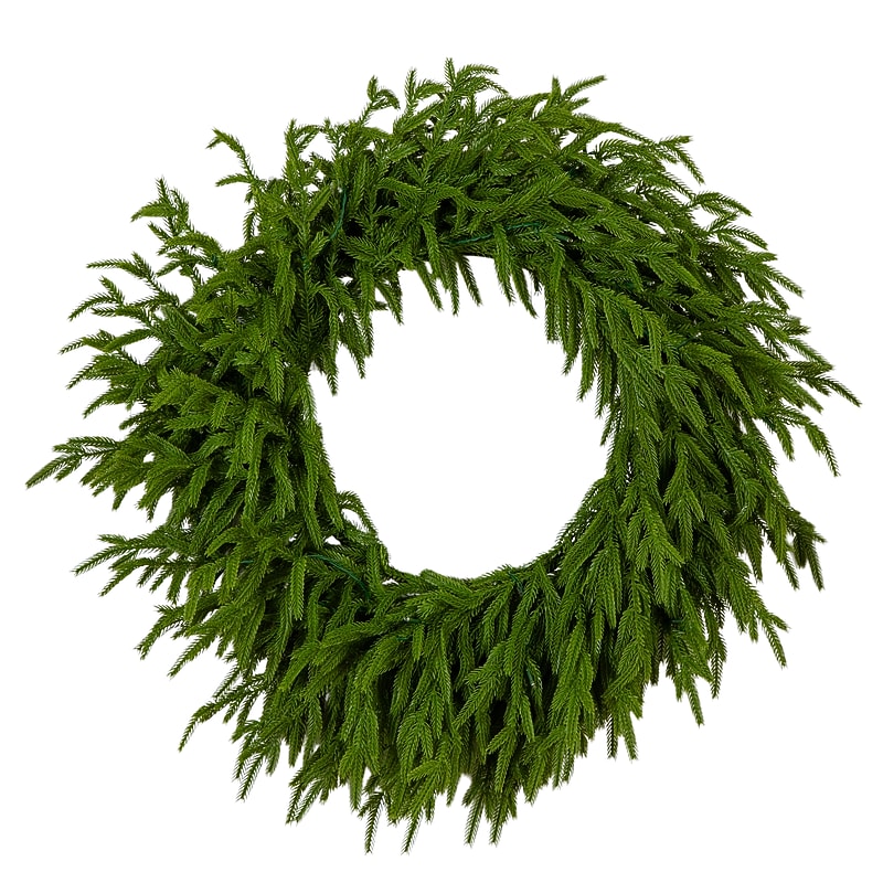 Nearly Natural Pre-Lit Artificial Real Touch Norfolk Island Pine Wreath, 24" (W1392) image 1