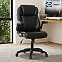 Sealy Posturepedic Hudson Ergonomic Swivel Office Chair, Black (64627)~#|#~9AC84E16-0A97-4494-8DF2A807E4485330_sc7