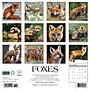 2026 Willow Creek Foxes 12" x 12" Monthly Wall Calendar (51146)~#|#~9AD7B5B2-D260-422D-B41AB91C5B5CD7B2_sc7