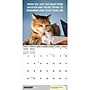 2026 TF Publishing Corporate Cats 12" x 12" Monthly Wall Calendar, Multi (26-1005)~#|#~9AE3ED40-8457-4CCB-9DF8D792BFEFFABD_sc7