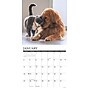 2026 Willow Creek Cats & Dogs 12" x 12" Monthly Wall Calendar (50620X)~#|#~9AE5A0AB-43F6-4518-BB9C0E1A5AEBAD79_sc7