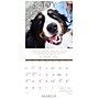 2026 Willow Creek So God Made a Dog 12" x 12" Monthly Wall Calendar (52860)~#|#~9AE89C04-CE1C-4012-B2BB65867DDB2FD8_sc7