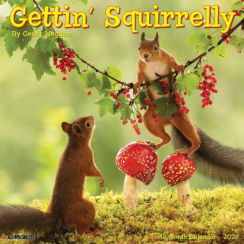 2026 Willow Creek Gettin' Squirrelly 12" x 12" Monthly Wall Calendar (51252X) image 1