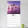 2026 TF Publishing Landscapes 12" x 12" Monthly Wall Calendar, Multi (26-1015)~#|#~9B11A715-0BC3-498E-A654CFA3381069BE_sc7