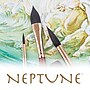 Princeton Neptune Watercolor Synthetic Dagger Brush, 2/Pack (PBXP4750DG025-2)~#|#~9B2D7785-4C97-43C7-804F060B87B0FD3B_sc7