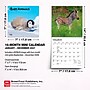 2027 BrownTrout Baby Animals 7" x 7" Monthly Wall Calendar, Assorted Colors (9798330709755)~#|#~9B3C83D0-6D61-4703-BD07CB74BE7DDE09_sc7