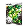 Crayola Plant Lady Adult Coloring Book, 32 Pages (047062)~#|#~9B3C9E97-4E11-413E-A95399272E6A0B3A_sc7