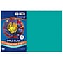Tru-Ray 12" x 18" Construction Paper, Turquoise, 50 Sheets/Pack, 5 Packs/Bundle (PAC103039-5)~#|#~9B48C1CD-FCD9-4203-BF998277A950E812_sc7