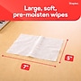 Staples Screen Cleaning Wipes, 100/Tub (ST61847)~#|#~9B513495-762D-41CB-A068999E86F0009C_sc7