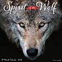 2026 Willow Creek Spirit of the Wolf 12" x 12" Monthly Wall Calendar (52884)~#|#~9B515B28-F827-4EF5-A3D96ABA228150C5_sc7