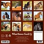 2027 Willow Creek 12" x 12" Monthly Wall Calendar, Assorted Colors (62920)~#|#~9B52523D-2F95-4709-856090708B5A4256_sc7
