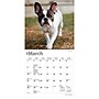 2027 BrownTrout French Bulldogs 7" x 7" Monthly Wall Calendar, Assorted Colors (9798330709991)~#|#~9B53AAE3-C638-4692-ADCAE89B8421889E_sc7