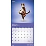2026 BrownTrout Chats de Yoga OFFICIEL 12" x 12" Monthly Wall Calendar (9798330707348)~#|#~9B61B4A6-7BD5-4689-983A30BA6AF5E6D2_sc7