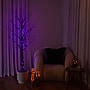 Nearly Natural  Pre-Lit Artificial Halloween Twig Tree, 6' (T5164)~#|#~9B63B077-C87E-4E83-B604EAF4D9993CBB_sc7