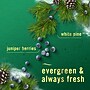 Febreze Air Mist Aerosol Air Freshener & Deodorizer, White Pine & Juniper Berry Scent, 8.8 oz., 2/Pack (03208)~#|#~9B823FEE-ED0B-4332-BBD8314C4530F37F_sc7