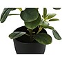 Monarch Specialties Inc. Ficus Elastica in Pot, 2/Pack (I 9585)~#|#~9B8719CA-AD4E-46A9-9CFC344B08F7E32E_sc7