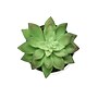 Monarch Specialties Inc. 6" Artificial Succulent Plant in Pot, 3/Set (I 9555)~#|#~9B8B9F37-D714-496C-B8C1547D167F0845_sc7