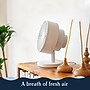 Windmill Oscillating Desk Fan, 5-Speed, Butter (WMFC07W3)~#|#~9B98186C-1BAB-49EC-8FC2ECEC24094527_sc7