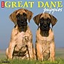 2027 Willow Creek Great Dane Puppies  12" x 12" Monthly Wall Calendar (60520)~#|#~9BA4DD6A-24EA-4BFC-A1B9FBA345C27A3E_sc7