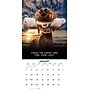 2026 Willow Creek Dog's Life 12" x 12" Monthly Wall Calendar (51009)~#|#~9BAE5E14-47E9-4DEC-8D9864CE6AA13636_sc7