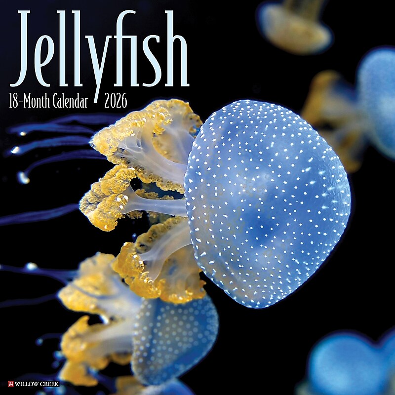 2026 Willow Creek Jellyfish 12" x 12" Monthly Wall Calendar (55892) image 1