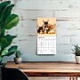 2027 BrownTrout Chihuahua Puppies 7" x 7" Monthly Wall Calendar, Assorted Colors (9798330709960)~#|#~9C032A71-8B68-4698-8A7C6740ABAD6AD7_sc7