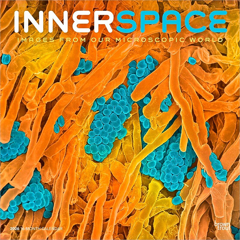 2026 BrownTrout Microscopic World of Innerspace 12" x 12" Monthly Wall Calendar (9798330703883) image 1