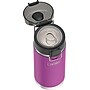 Thermos Icon Stainless Steel Vacuum Insulated Water Bottle, 18 oz., Plum (EAIS2504PL4)~#|#~9C2209E0-B28F-413F-8DD8DCF4CD5D2FA0_sc7