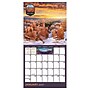 2027 TF Publishing National Parks 7" x 7" Monthly Wall Calendar, Multicolored (27-2004)~#|#~9C22C02F-8F53-41DB-B0BCC2F84A5160A5_sc7