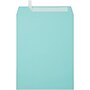 JAM Paper Self Seal Catalog Envelope, 10" x 13", Blue, 25/Pack (31287539)~#|#~9C2C33D6-2213-495B-A68E928A28C3D430_sc7
