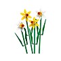 LEGO Daffodils Building Set (40747)~#|#~9C36A5DF-7E58-4CE3-BF29CEE4050B6922_sc7