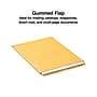 Staples Gummed Kraft Catalog Envelopes, 12" x 15.5", Brown, 100/Box (SPL534784)~#|#~9C698824-DDED-41E2-8715827D5A85A654_sc7
