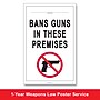 ComplyRight Weapons Law Poster, Minnesota, English (U1200CWPMN)~#|#~9C8AE3DB-D922-478B-B99EDF36EA5B4393_sc7