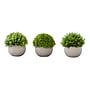 Monarch Specialties Inc. 5" Artificial Plant in Pot, 3/Set (I 9589)~#|#~9C9B5C7F-6071-48DE-9BC40808B9D08255_sc7