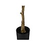 Monarch Specialties Inc. Rubber Tree in Pot (I 9513)~#|#~9CAC2876-A41F-46D9-9D3FC3E7952EFE81_sc7