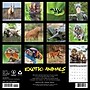 2027 Willow Creek Exotic Animals  12" x 12" Monthly Wall Calendar (60148)~#|#~9CB7535B-BD19-45C7-B0F9C851B656E528_sc7