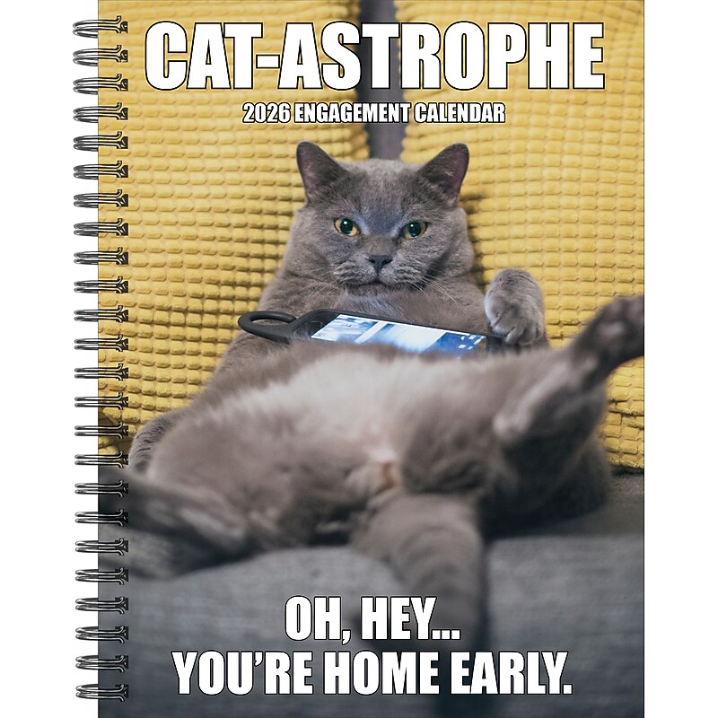 2026 Willow Creek Cat-astrophe 6.5" x 8.5" Daily & Monthly Personal Organizer (54598) image 1
