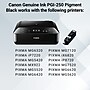 Canon 250 Black Standard Yield Ink Cartridge (6497B001)~#|#~9CD41CDA-A284-4E72-86570ABC247846F8_sc7